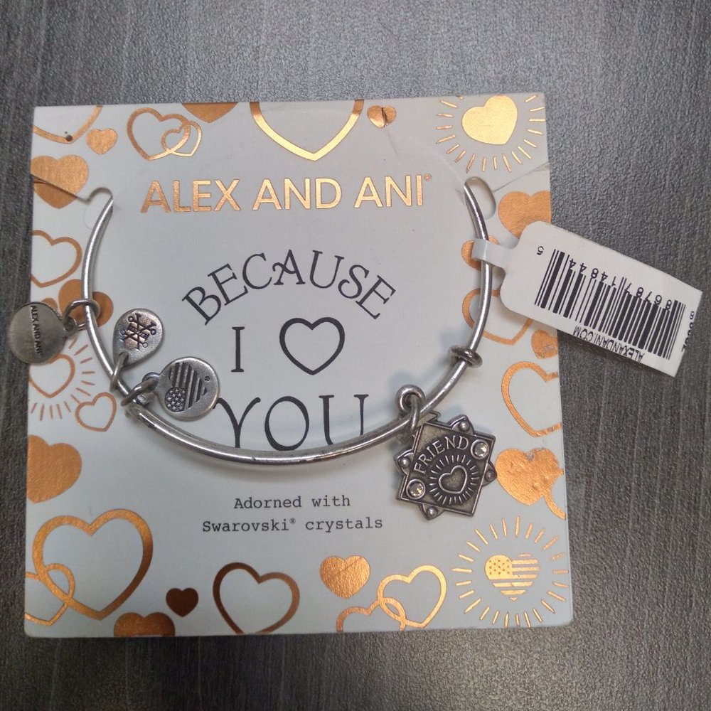 Silver Alex and Ani Friend bracelet
